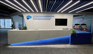 山東出版傳媒股份有限公司